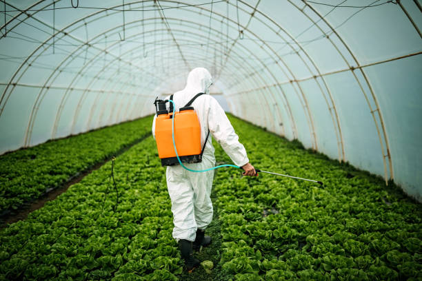 Best Best Pest Control Companies  in Union City, TN