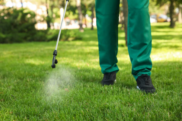 Best Bed Bug Extermination  in Union City, TN