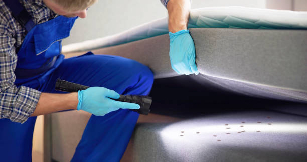 Professional Pest Control in Union City, TN