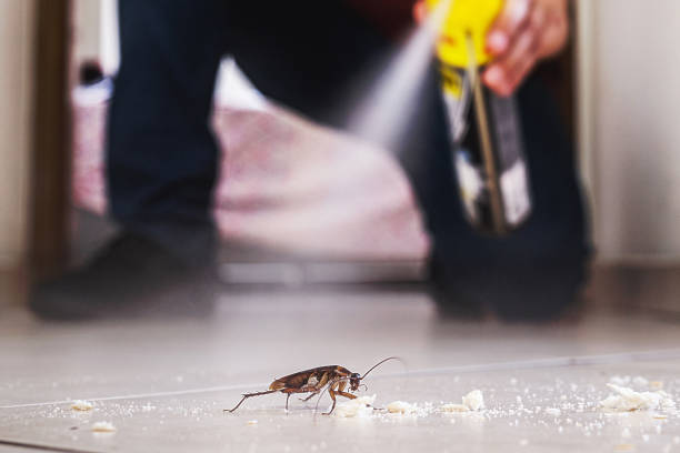 Best Wasp Removal Services  in Union City, TN