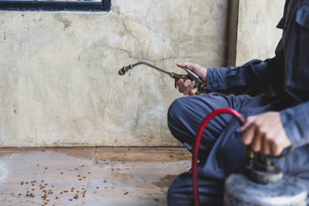 Best Residential Pest Control  in Union City, TN